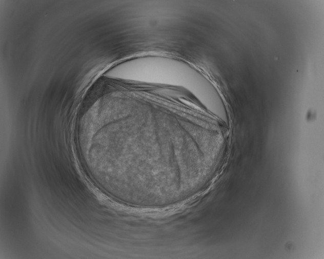 X0000094460001200712061234