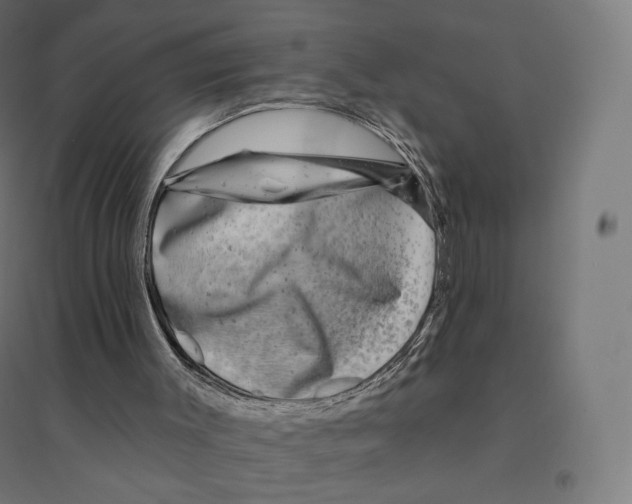 X0000094460003200712061234