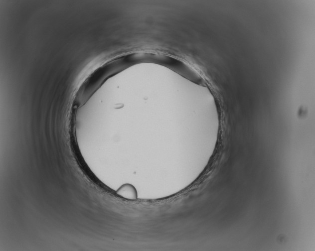 X0000094460007200712061233