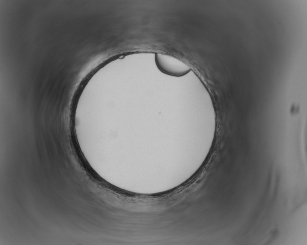 X0000094460008200712061233