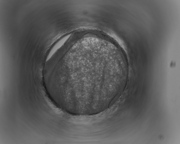 X0000094460009200712061233