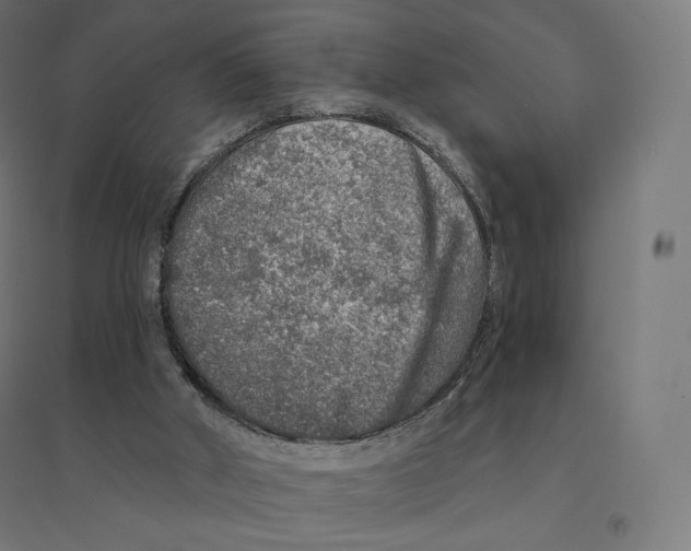 X0000094460010200712061233