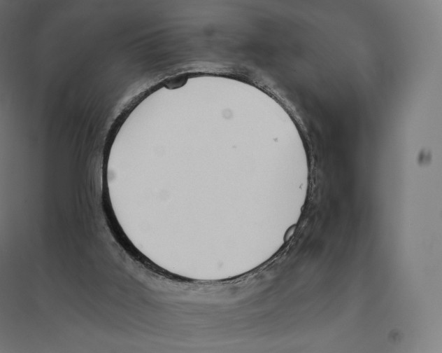 X0000094460011200712061233