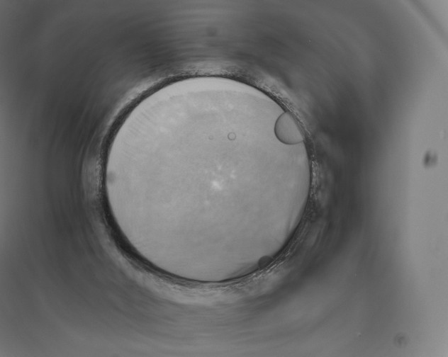 X0000094460012200712061233