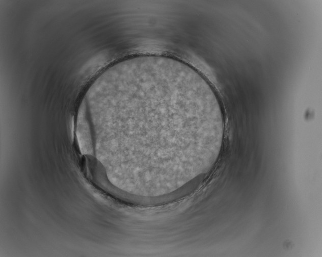 X0000094460013200712061233