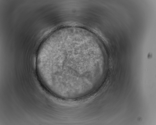 X0000094460014200712061233