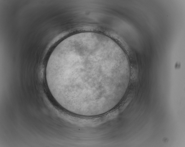 X0000094460016200712061233