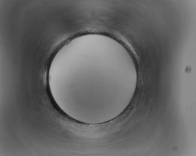 X0000094460019200712061233