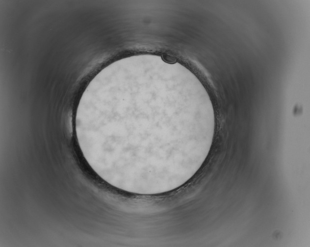 X0000094460020200712061233