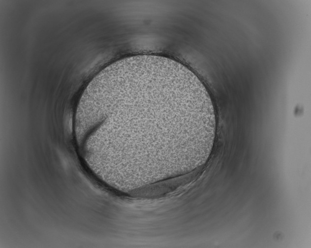 X0000094460021200712061233