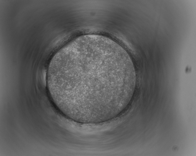 X0000094460022200712061233