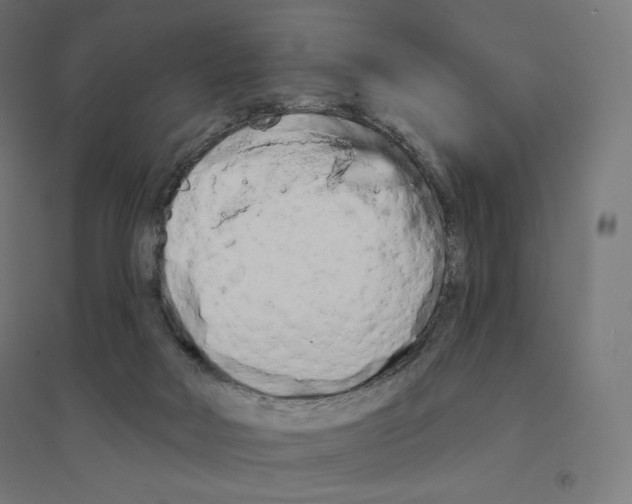 X0000094460026200712061233