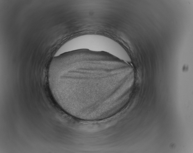 X0000094460029200712061233