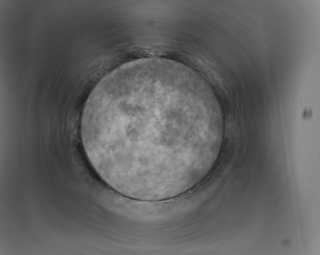 X0000094460030200712061233