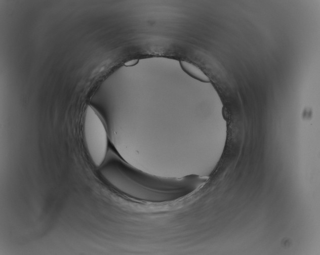 X0000094460031200712061233