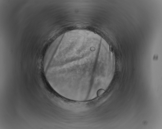 X0000094460032200712061233