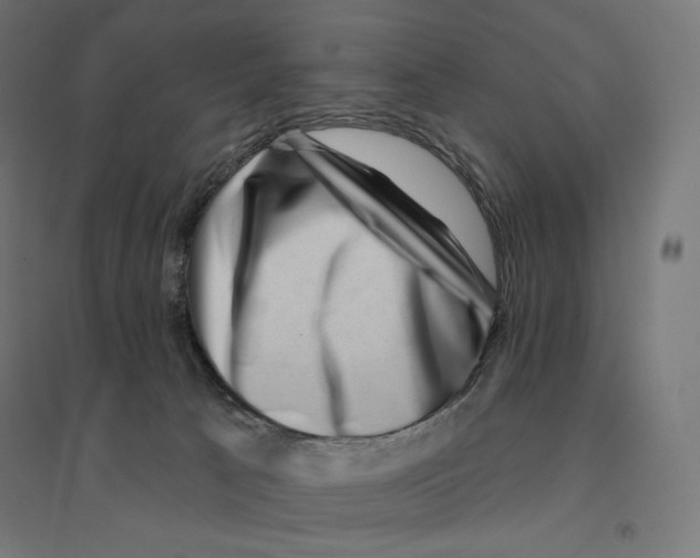 X0000094460033200712061233