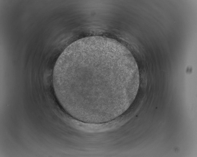 X0000094460034200712061233