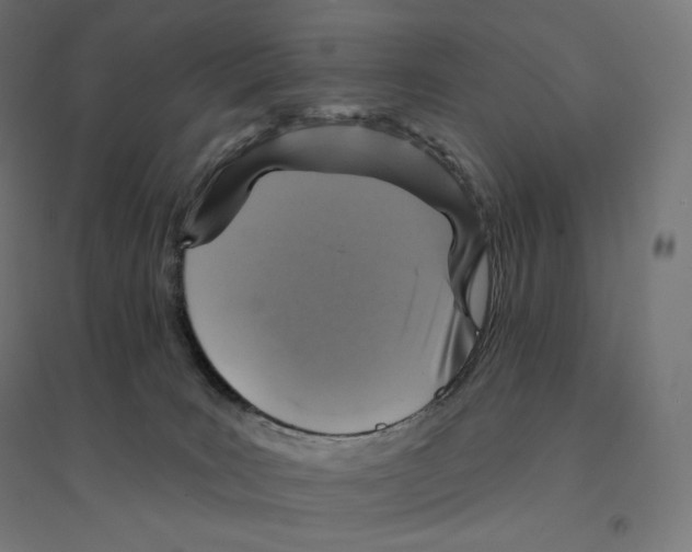 X0000094460035200712061233