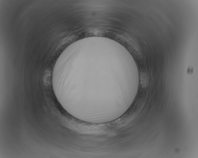 X0000094460036200712061233