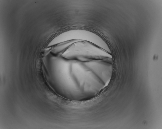 X0000094460037200712061233