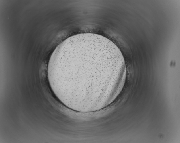 X0000094460038200712061233