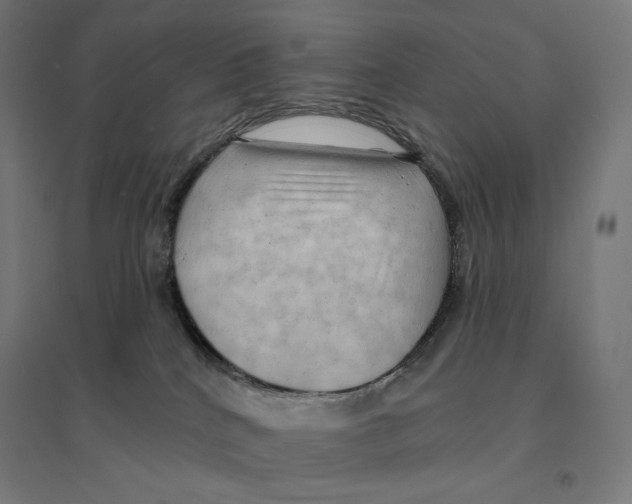 X0000094460040200712061233