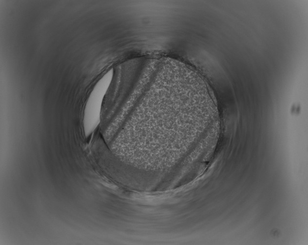 X0000094460041200712061233