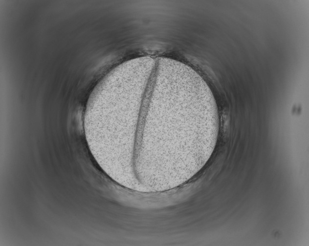 X0000094460042200712061233