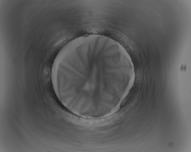 X0000094460043200712061233