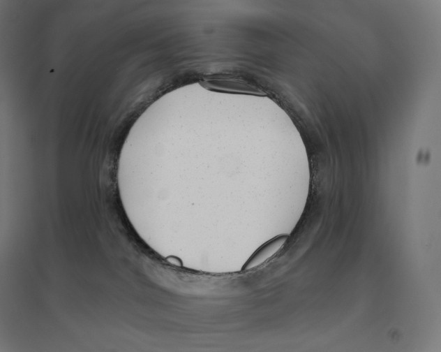 X0000094460044200712061233