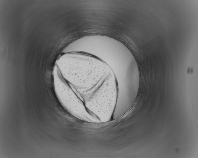 X0000094460045200712061233