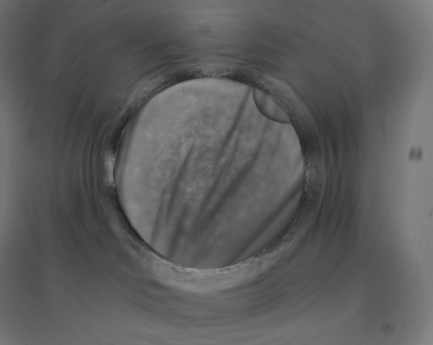 X0000094460046200712061233