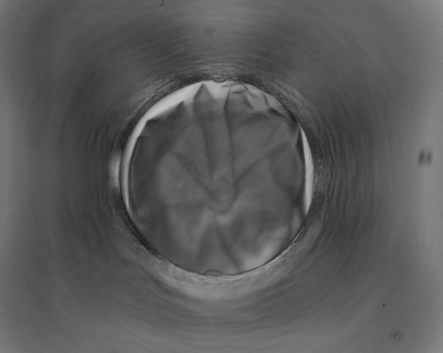 X0000094460047200712061233