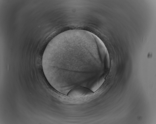 X0000094460048200712061233