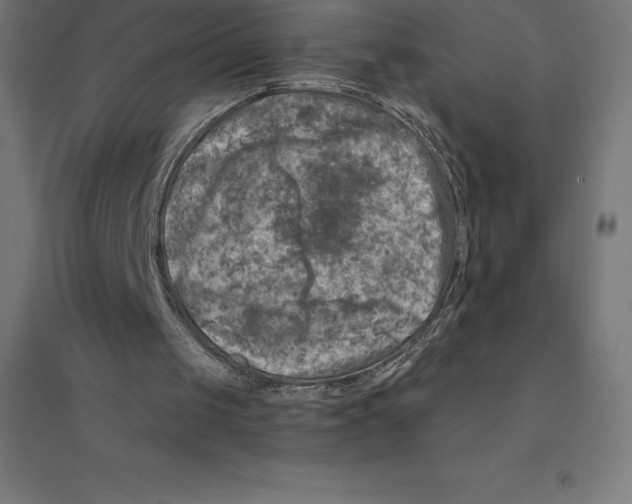 X0000094460049200712061232