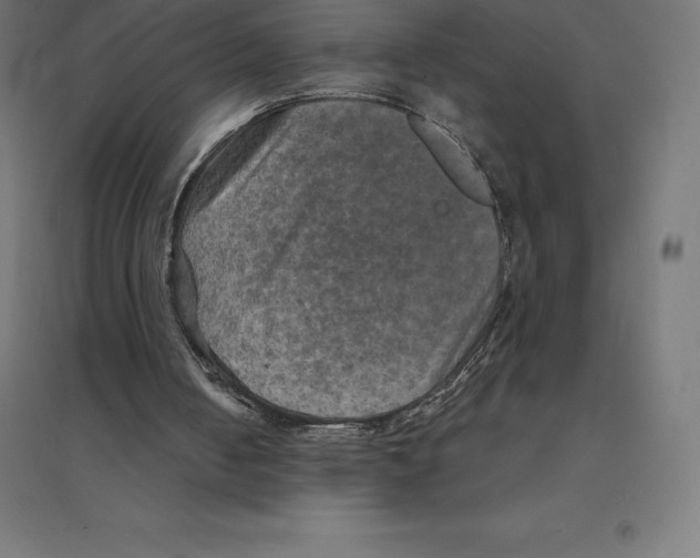 X0000094460050200712061232