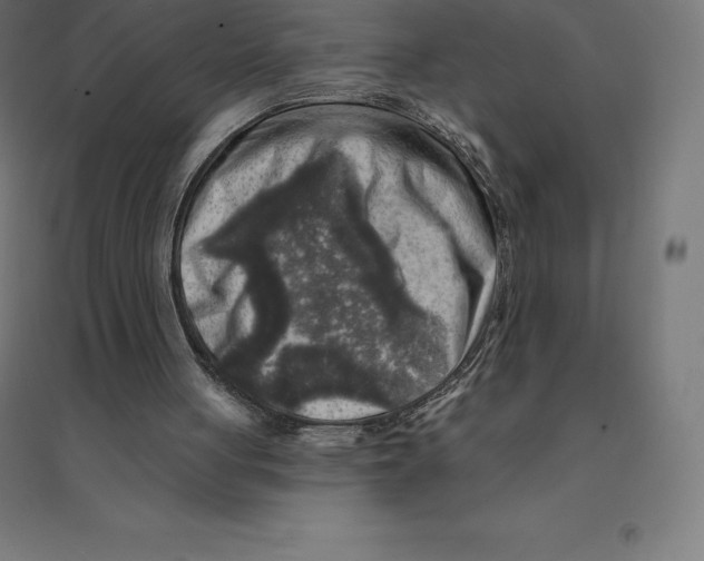 X0000094460051200712061232