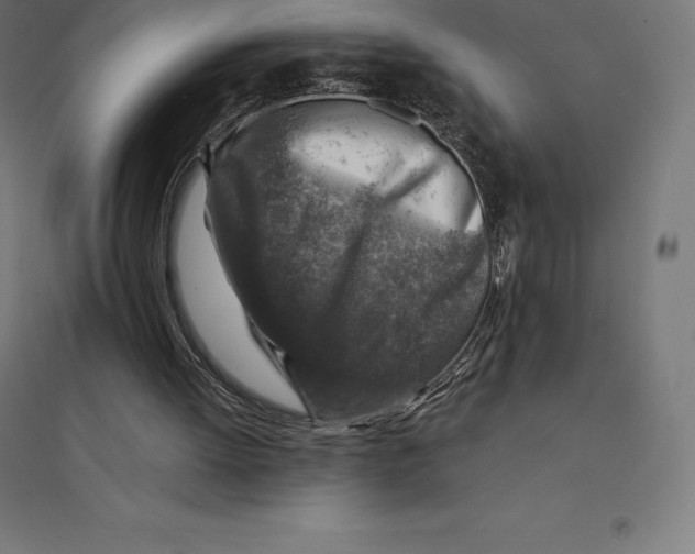 X0000094460052200712061232