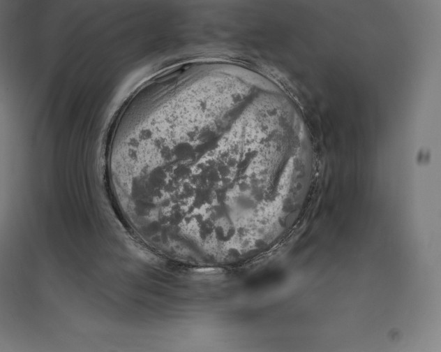 X0000094460053200712061232