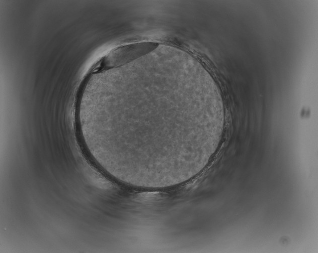 X0000094460054200712061232