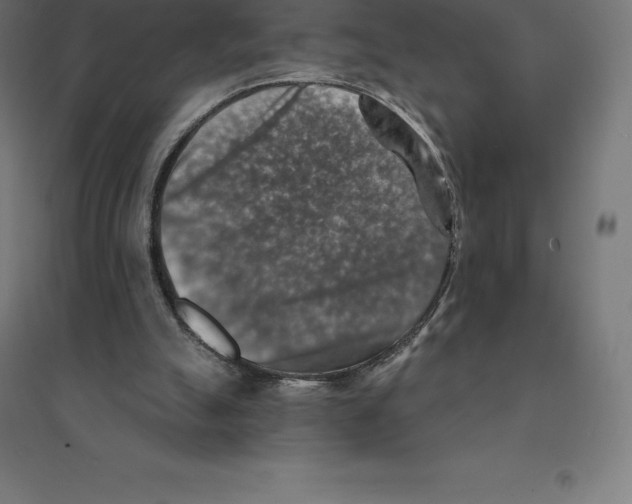 X0000094460055200712061232