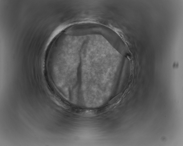 X0000094460056200712061232