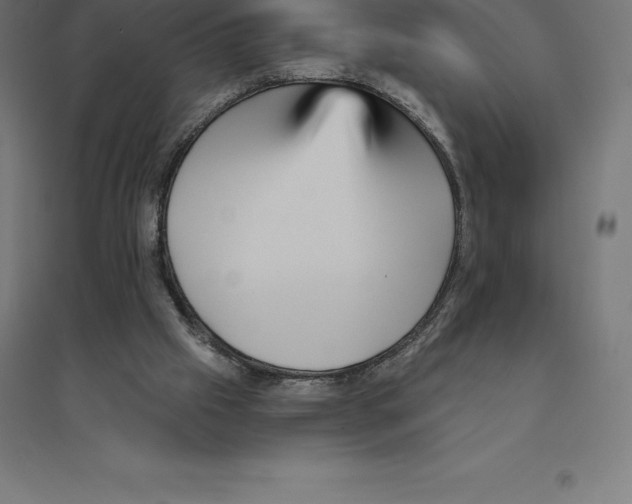 X0000094460057200712061232