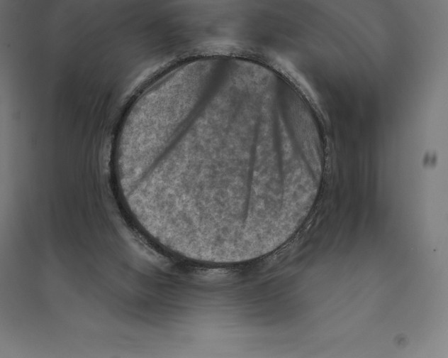 X0000094460058200712061232