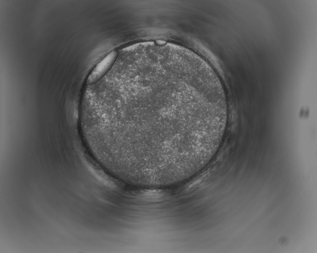 X0000094460059200712061232