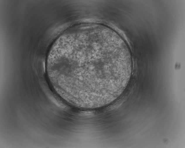 X0000094460061200712061232