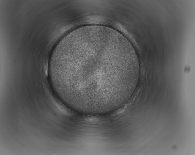 X0000094460062200712061232