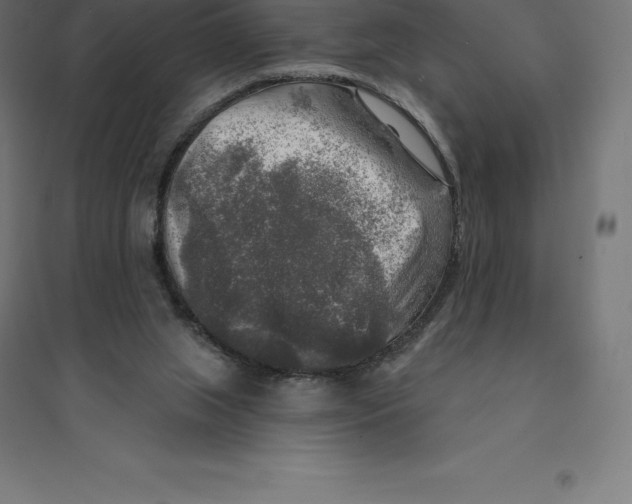 X0000094460063200712061232