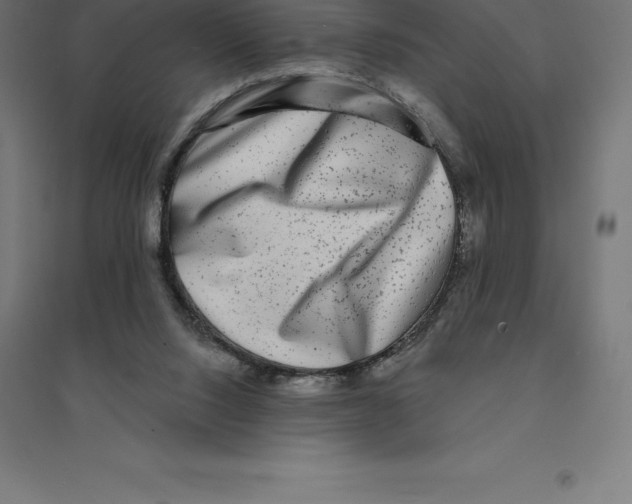 X0000094460064200712061232